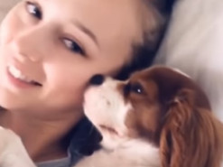 Щенку надоели селфи, которые так любит делать его хозяйка