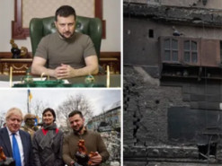 Как символ несокрушимости: знаменитый петушок из Бородянки теперь в кабинете Зеленского. Фото