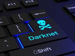 Что представляет из себя крупнейший российский хакерский форум