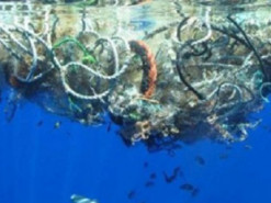 В США создали робота, который самостоятельно убирает мусор в океане