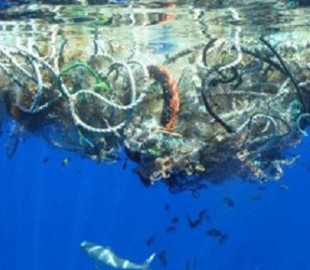 В США создали робота, который самостоятельно убирает мусор в океане