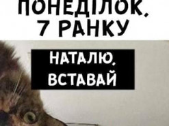 "Наташа, вставай, там все замело": ухудшение погоды в Украине высмеяли меткой фотожабой