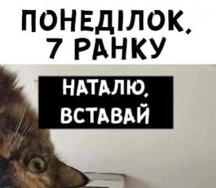 "Наташа, вставай, там все замело": ухудшение погоды в Украине высмеяли меткой фотожабой