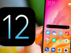 Два популярных смартфона Xiaomi получили MIUI 12