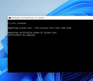 Хакери почали розсилати вірус через підроблене оновлення Windows 11