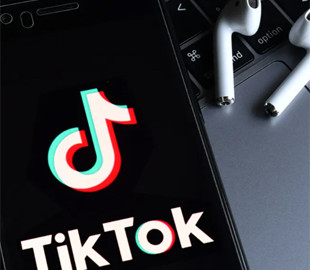 У Нідерландах затримали 15 осіб за пропаганду тероризму в TikTok