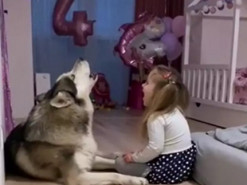 Хаски показал девочке мастер-класс по завываниям