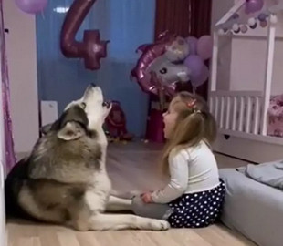 Хаски показал девочке мастер-класс по завываниям