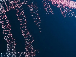 Не можуть залишитися осторонь. Як вчені всього світу рятують українську науку