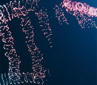 Не можуть залишитися осторонь. Як вчені всього світу рятують українську науку