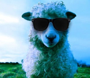 Ученые испытали на овцах бионические глаза: люди будут следующими