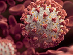 Основатели Instagram воссоединились, чтобы создать трекер распространения COVID-19