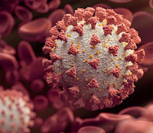 Основатели Instagram воссоединились, чтобы создать трекер распространения COVID-19