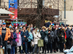 В сети начали торговать справками для проезда в общественном транспорте Запорожья