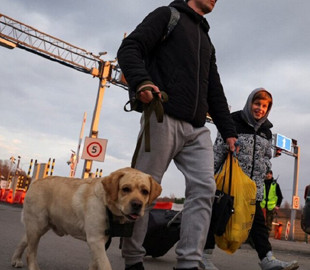 Змінено правила ввезення домашніх тварин до Польщі: перелік вимог