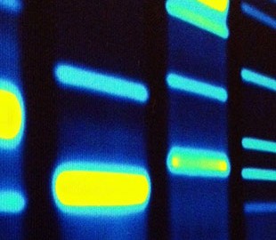 Блокчейн-стартап обещает бесплатный генетический тест в обмен на данные