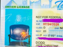 Водитель получила удостоверение со стулом вместо своего фото