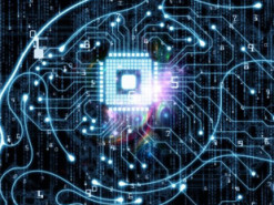 Из стартапа Илона Маска ушел сооснователь