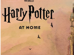 Писательница Джоан Роулинг запустила сайт для детей на карантине