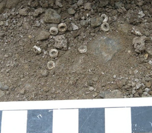 Задолго до Facebook. Археологи обнаружили в Африке самую старую социальную сеть в мире