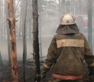 Визначили за відео у мережі: на Київщині затримали двох чоловіків за підпал трави
