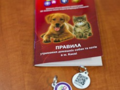 В Киеве запустили реестр домашних животных