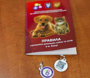 В Киеве запустили реестр домашних животных