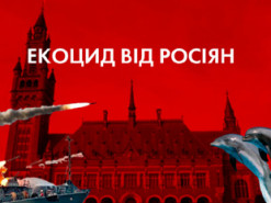 “Екоцид від окупантів”: як через російську агресію у Чорному морі гинуть тисячі дельфінів