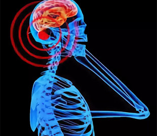 Учёные опровергли популярный миф о вреде мобильной связи для мозга