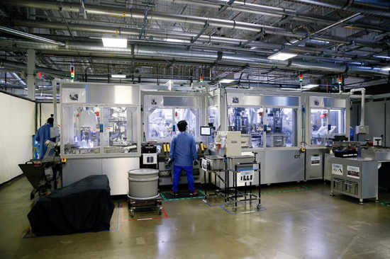 1apple-daisy-reuters-7.jpeg (114 KB)