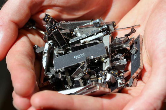 2apple-daisy-reuters-4.jpeg (98 KB)