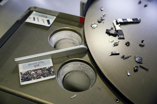 7apple-daisy-reuters-8.jpeg (76 KB)