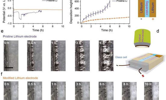 82-anovelapproa.jpg (108 KB)