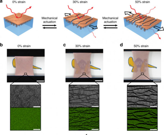 77777773.jpg (61 KB)