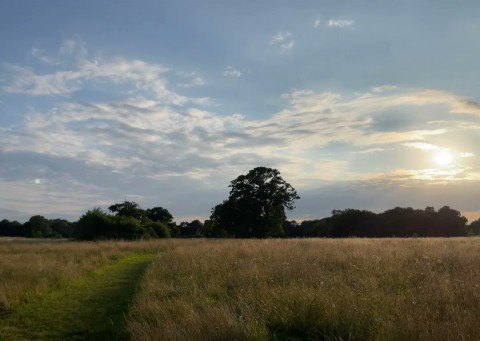 1ZWElh87VnMsyZ1l3ZXlAVF45yyEiTH.jpg (33 KB)