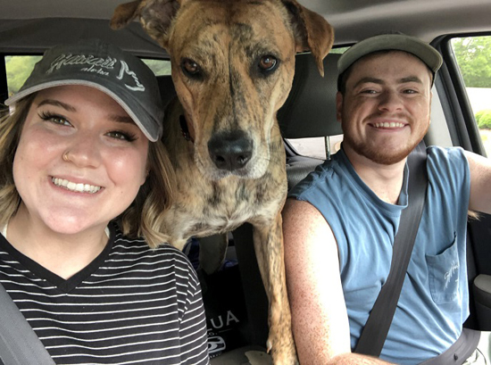 1ring-my-bell-wa-699493-1200x902-1.jpg (203 KB)