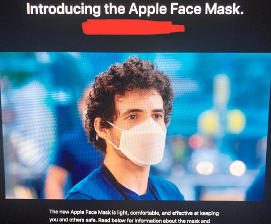 1applemaskdesign.jpg (118 KB)