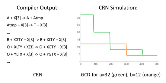 1-crnanewmolec.jpg (48 KB)