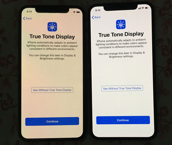 2TrueTonein1.jpg (58 KB)