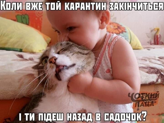 100084a426a13942868435472b45a68feb47.jpg (167 KB)