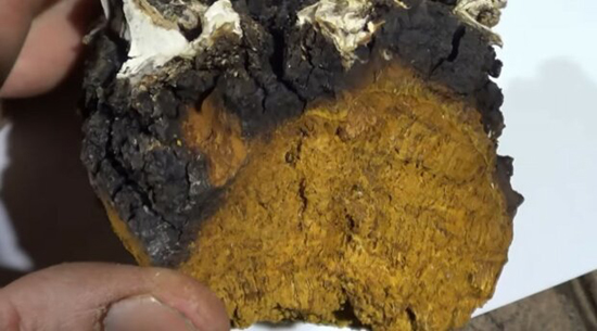 1XztHAL1f82RYKN1Aj2AN1YSHA1A7ou0TWOznmbbK.jpeg (123 KB)