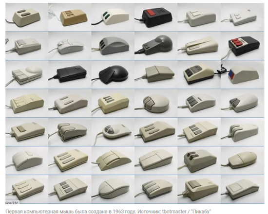 2124241.jpg (169 KB)