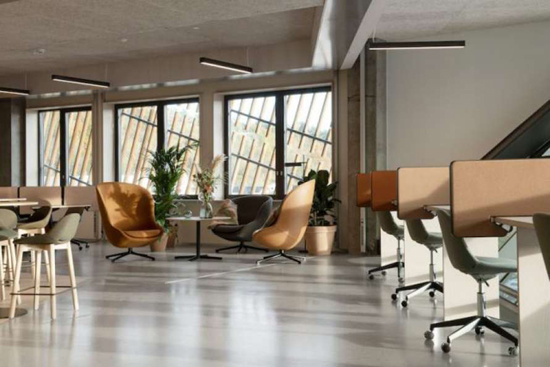 3890_450_5fa551e099bed.jpg (143 KB)