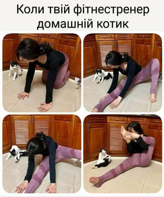 3d89236809163aa3324fb5225e893376a.jpg (81 KB)