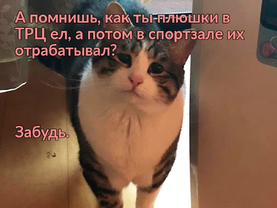 4781bb90855cd7ffbf6bba99c2b6861c2.jpg (122 KB)