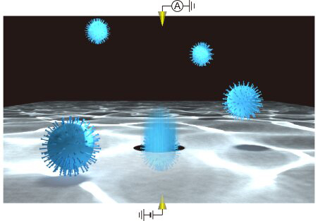 5fabda44c9dcc.jpg (63 KB)