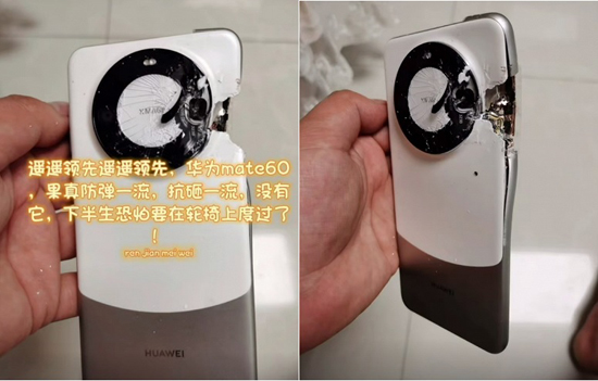 1huawei-mate-60-part-1.jpg (131 KB)