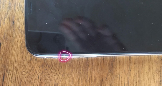 XIn1Bug.jpg (116 KB)