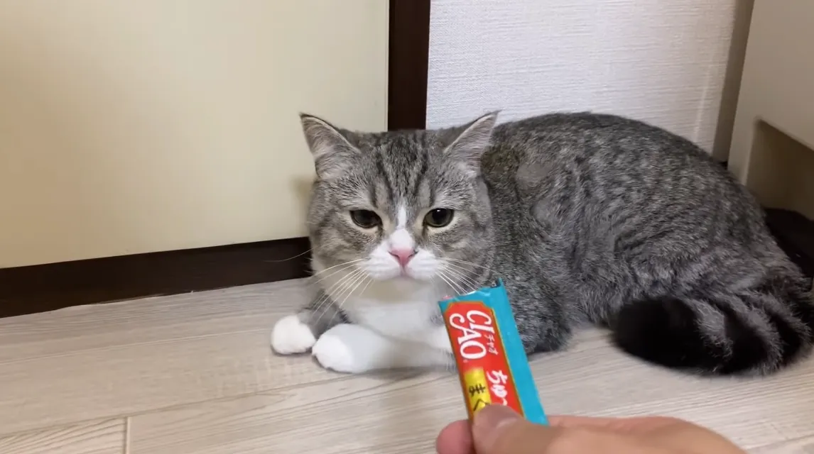 1screenshot41.webp (50 KB)