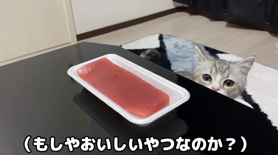 2screenshot7.webp (29 KB)